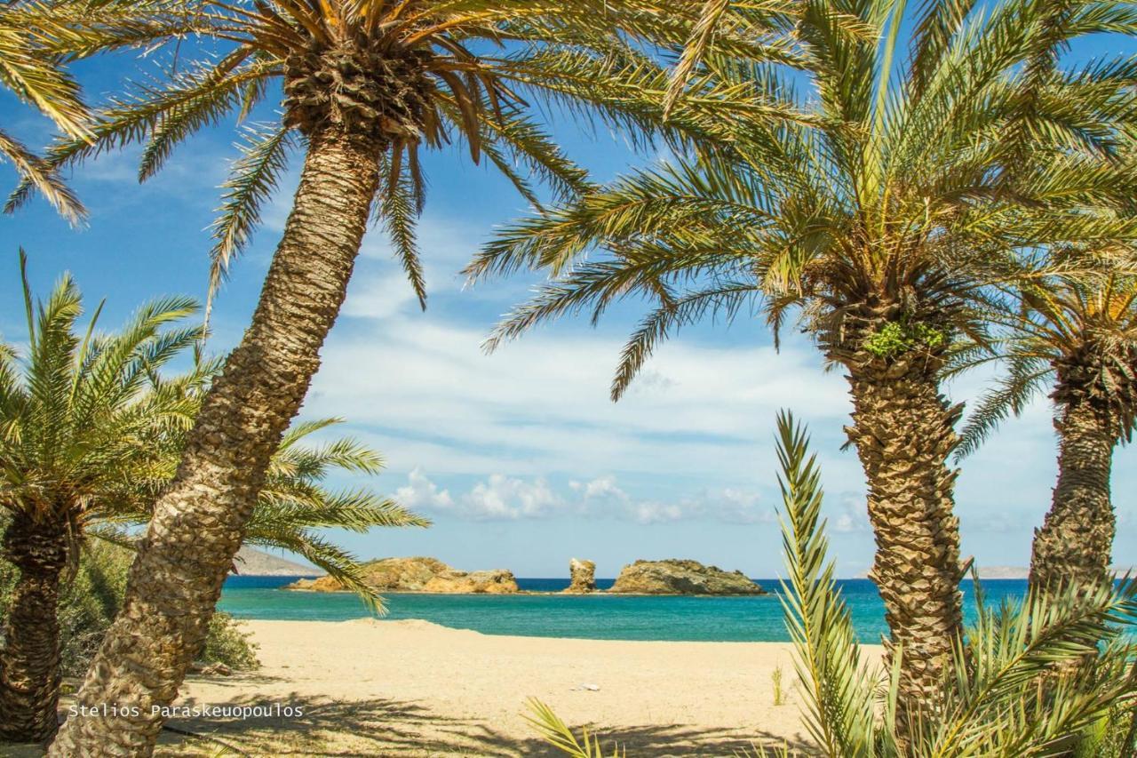 Fedra Apartments, View, Free Parking, 2Mins To Beach Paleocastro Esterno foto